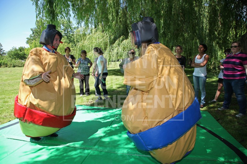 ANIMATION THEMLE LES JEUX OLYMPIQUES POUR VOS EVENEMENTS PROFESSIONNELS TEAM BUILDING LES JO | adopte-un-evenement