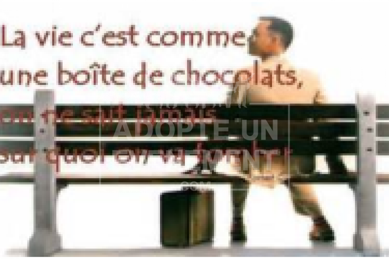 BEA CONCEPTION ANIMATION LA DERNIÈRE SÉANCE CINÉMA | adopte-un-evenement