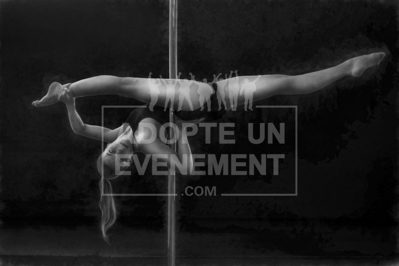 BEA CONCEPTION ARTISTE PERFORMER SHOW POLE DANCE RUBAN | adopte-un-evenement