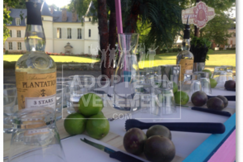 BEA CONCEPTION CHALLENGE MOJITO SOIREE ENTREPRISE SEMINAIRE ANIMATION | adopte-un-evenement