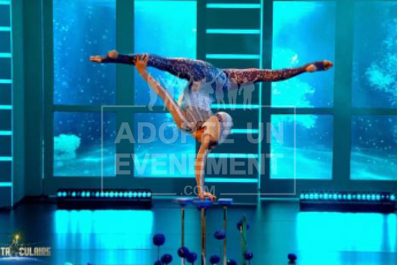 | adopte-un-evenement  | adopte-un-evenement