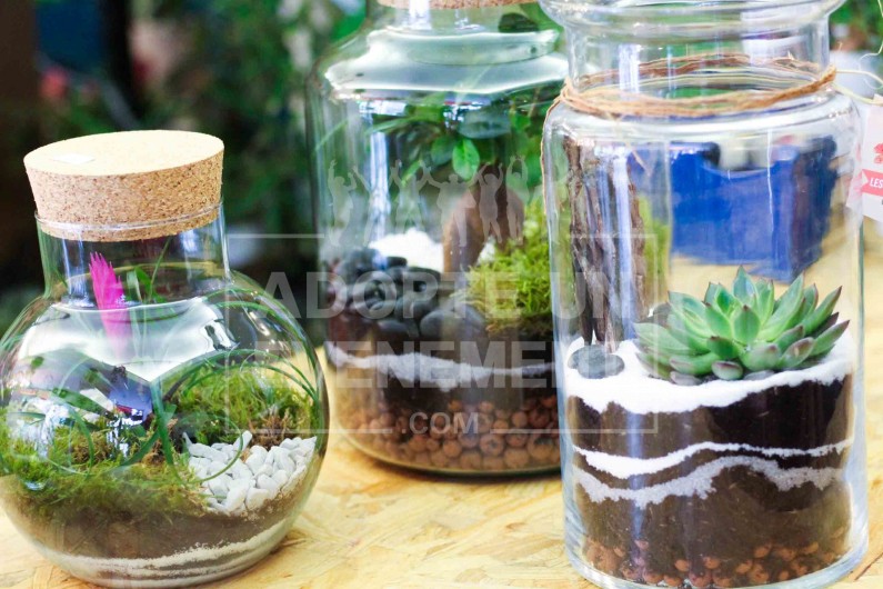 ATELIER ANIMATION INCENTIVE TERRARIUM ADOPTE UN EVENEMENT ARTISAN COMPOSE UN ECO SYSTEME TEAM BUILDING | adopte-un-evenement