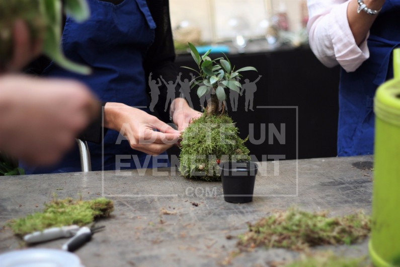 ATELIER KOKEDAMA ADOPTE UN EVENEMENT ANIMATION ATELIER NATURE TEAM BUILDING INCENTIVE GREEN ZEN MANUEL ARTISAN | adopte-un-evenement