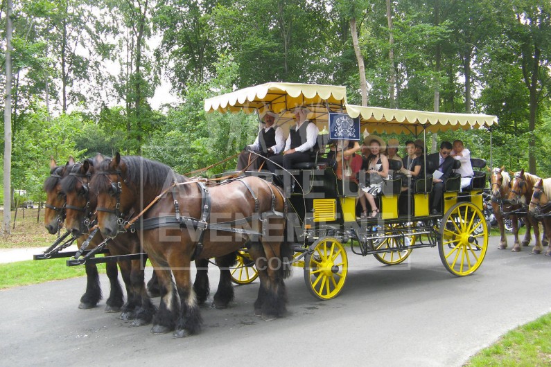 BEA CONCEPTION TEAM BUILDING SAFARI PHOTOS & VIDÉOS DÉCOUVERTE CHANTILLY | adopte-un-evenement BEA CONCEPTION TEAM BUILDING SAFARI PHOTOS & VIDÉOS DÉCOUVERTE CHANTILLY | adopte-un-evenement