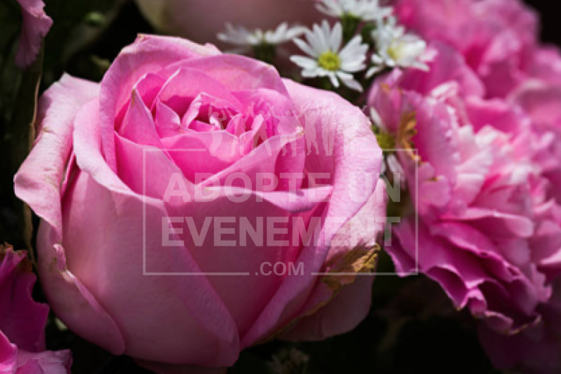 | adopte-un-evenement  | adopte-un-evenement