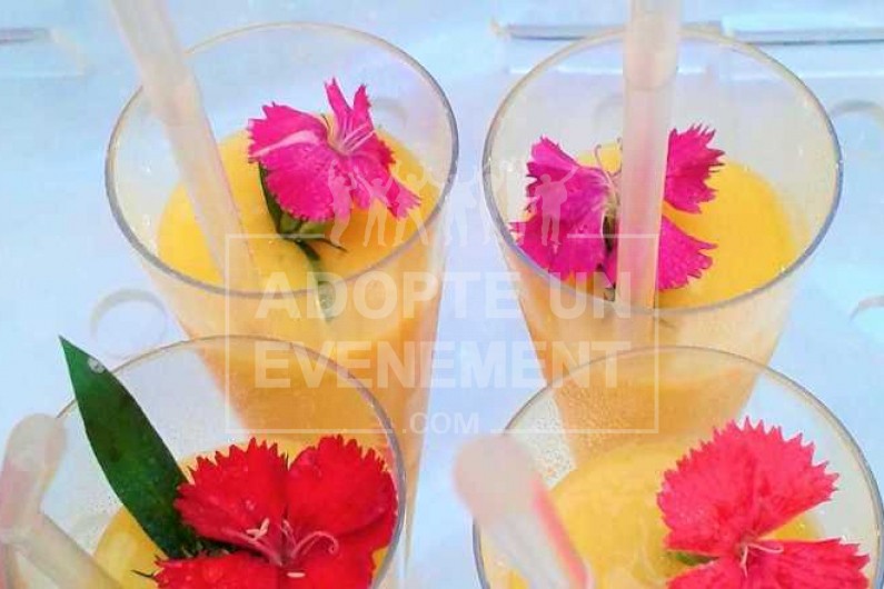 | adopte-un-evenement  | adopte-un-evenement