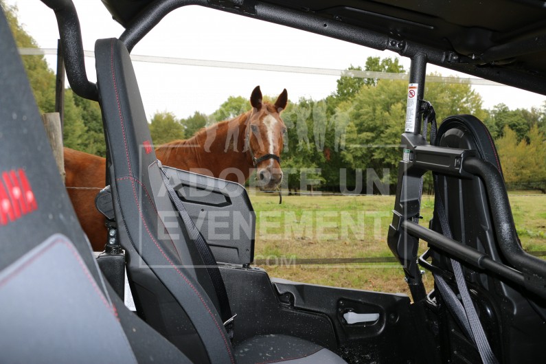 BUGGY BALADE TOUT TERRAIN ADOPTE UN ÉVÉNEMENT RIDE RALLYE MECANIQUE OUTDOOR ESCAPADE COURSE D'ORIENTATION OFF ROAD | adopte-un-evenement