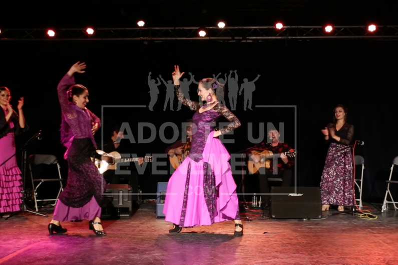 BEA CONCEPTION FLAMENCO DANSE ESPAGNE FLOKLORIQUE RYTHME ANDALOUSE SEVILLE SOIREE ANIMATION INITIATION THEMATIQUE | adopte-un-evenement