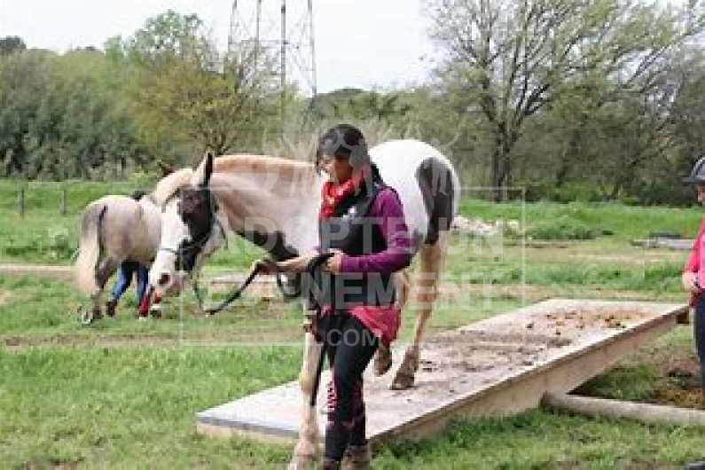 MOUNTAIN TRAIL ACTIVITE EQUESTRE ANIMATION TEAM BUILDING | adopte-un-evenement