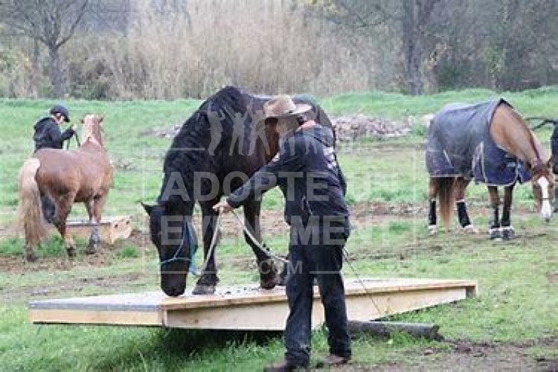 MOUNTAIN TRAIL ACTIVITE EQUESTRE ANIMATION TEAM BUILDING | adopte-un-evenement