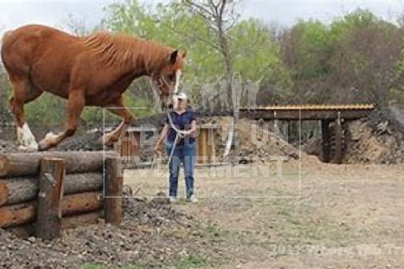 MOUNTAIN TRAIL ACTIVITE EQUESTRE ANIMATION TEAM BUILDING | adopte-un-evenement