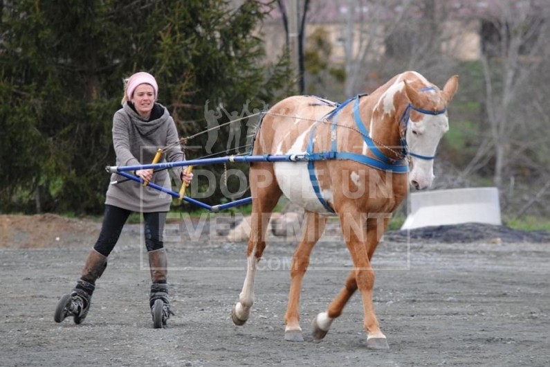 INITIATION AU ROLLER JOERING activite team building ludique | adopte-un-evenement