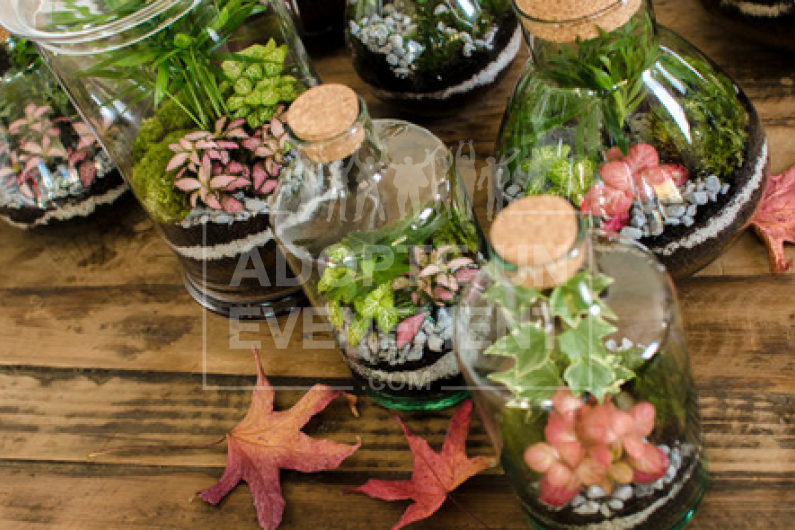 ATELIER TERRARIUM VISIO TÉLÉTRAVAIL HOME OFFICE ARTISAN CONFECTION ÉCOSYSTÈME VÉGÉTAL | adopte-un-evenement