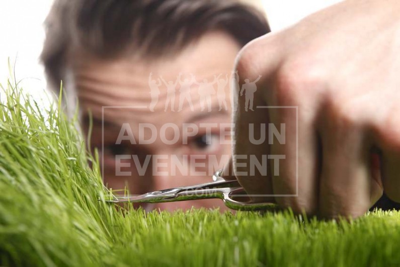 SOLUTION SUR MESURE CREATION CONCEPT ANIMATION ANIMATION SUR MESURE | adopte-un-evenement