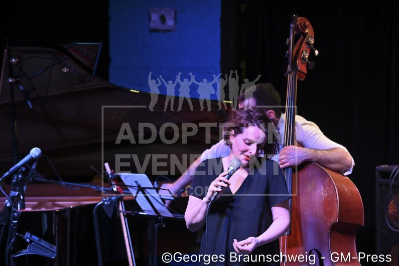 Chanteuse, orchestre de jazz de premier rang soiree événementiel ambiance musicale | adopte-un-evenement