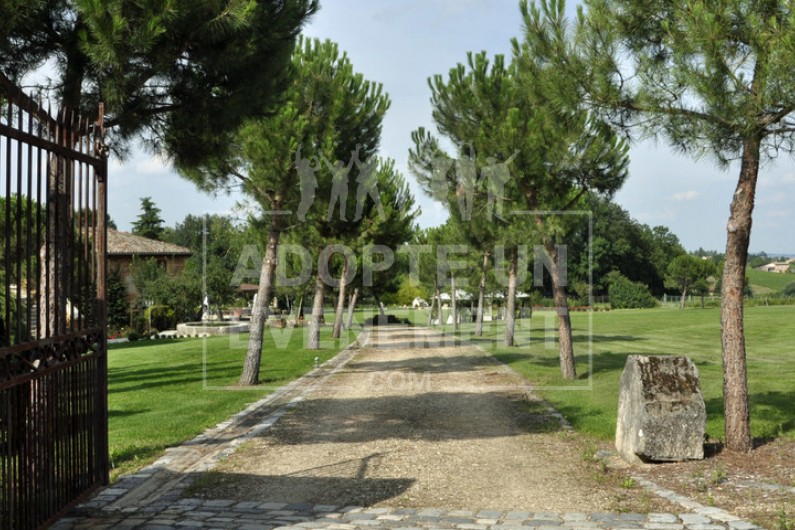  | adopte-un-evenement