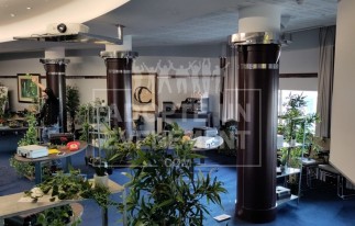 ESCAPE GAME AU JANGLE | adopte-un-evenement