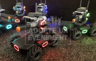 TEAM BUILDING ROBOTS ANIMATION SEMINAIRE | adopte-un-evenement