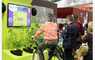 BEA CONCEPTION ANIMATION SPORTIVE CHALLENGE VELO | adopte-un-evenement