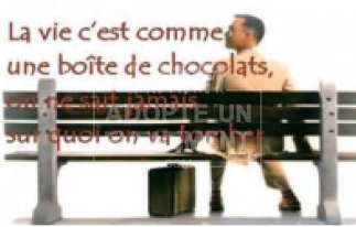 BEA CONCEPTION ANIMATION LA DERNIÈRE SÉANCE CINÉMA | adopte-un-evenement