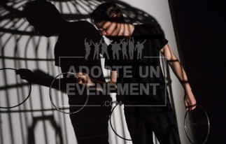 BEA CONCEPTION SPECTACLE D'OMBRES PHILLIPE BEAU | adopte-un-evenement