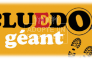 BEA CONCEPTION TEAM BUILDING CLUEDO GÉANT ESCAPADE LUDIQUE | adopte-un-evenement