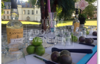 BEA CONCEPTION CHALLENGE MOJITO SOIREE ENTREPRISE SEMINAIRE ANIMATION | adopte-un-evenement