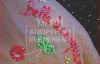 BEA CONCEPTION ARTISTE ITINÉRANT TATOUAGE HENNÉ | adopte-un-evenement