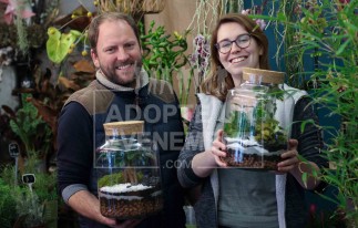 ATELIER ANIMATION INCENTIVE TERRARIUM ADOPTE UN EVENEMENT ARTISAN COMPOSE UN ECO SYSTEME TEAM BUILDING | adopte-un-evenement