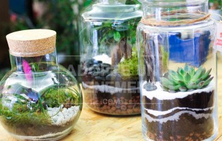 ATELIER ANIMATION INCENTIVE TERRARIUM ADOPTE UN EVENEMENT ARTISAN COMPOSE UN ECO SYSTEME TEAM BUILDING | adopte-un-evenement