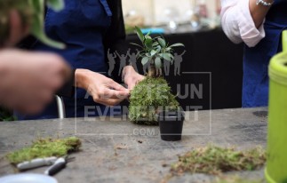 ATELIER KOKEDAMA ADOPTE UN EVENEMENT ANIMATION ATELIER NATURE TEAM BUILDING INCENTIVE GREEN ZEN MANUEL ARTISAN | adopte-un-evenement