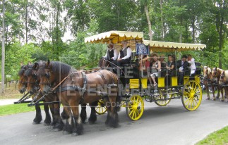 BEA CONCEPTION TEAM BUILDING SAFARI PHOTOS & VIDÉOS DÉCOUVERTE CHANTILLY | adopte-un-evenement