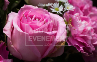  | adopte-un-evenement