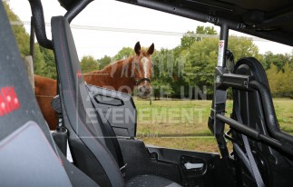 BUGGY BALADE TOUT TERRAIN ADOPTE UN ÉVÉNEMENT RIDE RALLYE MECANIQUE OUTDOOR ESCAPADE COURSE D'ORIENTATION OFF ROAD | adopte-un-evenement