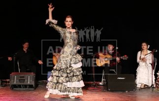 BEA CONCEPTION FLAMENCO DANSE ESPAGNE FLOKLORIQUE RYTHME ANDALOUSE SEVILLE SOIREE ANIMATION INITIATION THEMATIQUE | adopte-un-evenement