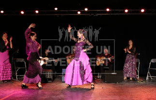 BEA CONCEPTION FLAMENCO DANSE ESPAGNE FLOKLORIQUE RYTHME ANDALOUSE SEVILLE SOIREE ANIMATION INITIATION THEMATIQUE | adopte-un-evenement