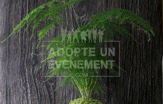  | adopte-un-evenement