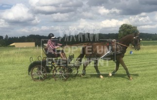 ANIMATION TEAM BUILDING CHEVAL TIR A L'ARC EQUITATION PRATIQUE ET TECHNIQUE DE L'ATTELAGE | adopte-un-evenement