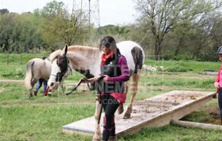 MOUNTAIN TRAIL ACTIVITE EQUESTRE ANIMATION TEAM BUILDING | adopte-un-evenement