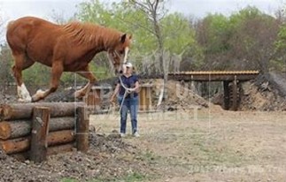 MOUNTAIN TRAIL ACTIVITE EQUESTRE ANIMATION TEAM BUILDING | adopte-un-evenement