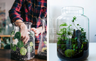 ATELIER TERRARIUM VISIO TÉLÉTRAVAIL HOME OFFICE ARTISAN CONFECTION ÉCOSYSTÈME VÉGÉTAL | adopte-un-evenement