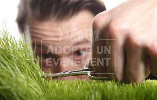 SOLUTION SUR MESURE CREATION CONCEPT ANIMATION ANIMATION SUR MESURE | adopte-un-evenement