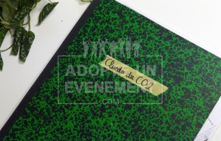 CLUEDO GREEN CO2 ENQUETE ECOLO TEAM BUILDING | adopte-un-evenement