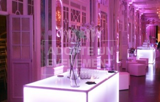 Salon des Miroirs buffets | adopte-un-evenement