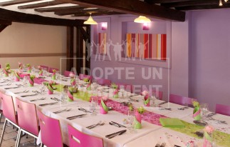 SEMIANIRE REUNION CONVENTION EN SOLOGNE AZUREVA SAINTE MONTAINE TEAM BUILDING | adopte-un-evenement