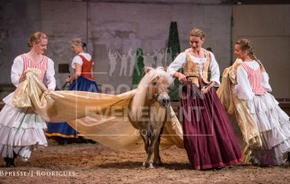 LES GRANDES ECURIES DE CHANTILLY - CHATEAU DE CHANTILLY - LIEU EVENEMENTIEL HISTORIQUE A CHANTILLY | adopte-un-evenement