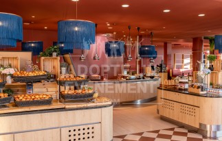 GRAND MAGIC HOTEL LIEU TENDANCE DISNEY MAGNY LE HONGRE | adopte-un-evenement