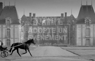  | adopte-un-evenement